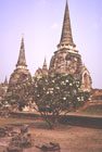 Photo of Ayutthaya: Click for larger image