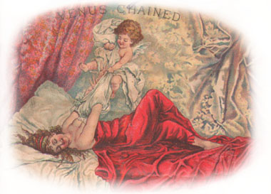 "Venus Chained" Cigar Box Illustration (39023 bytes)